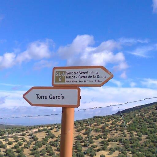 yoyegallardo's profile picture. 