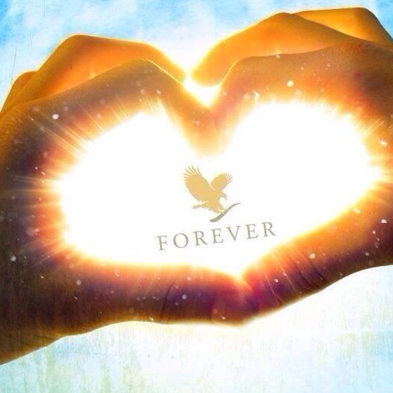 Worlds purest Aloe Vera on the market & largest Bee Keeprs: abbeh@flp.com Beauty, WellBeing, Cosmetic, Health #clean9 #forever #argi+