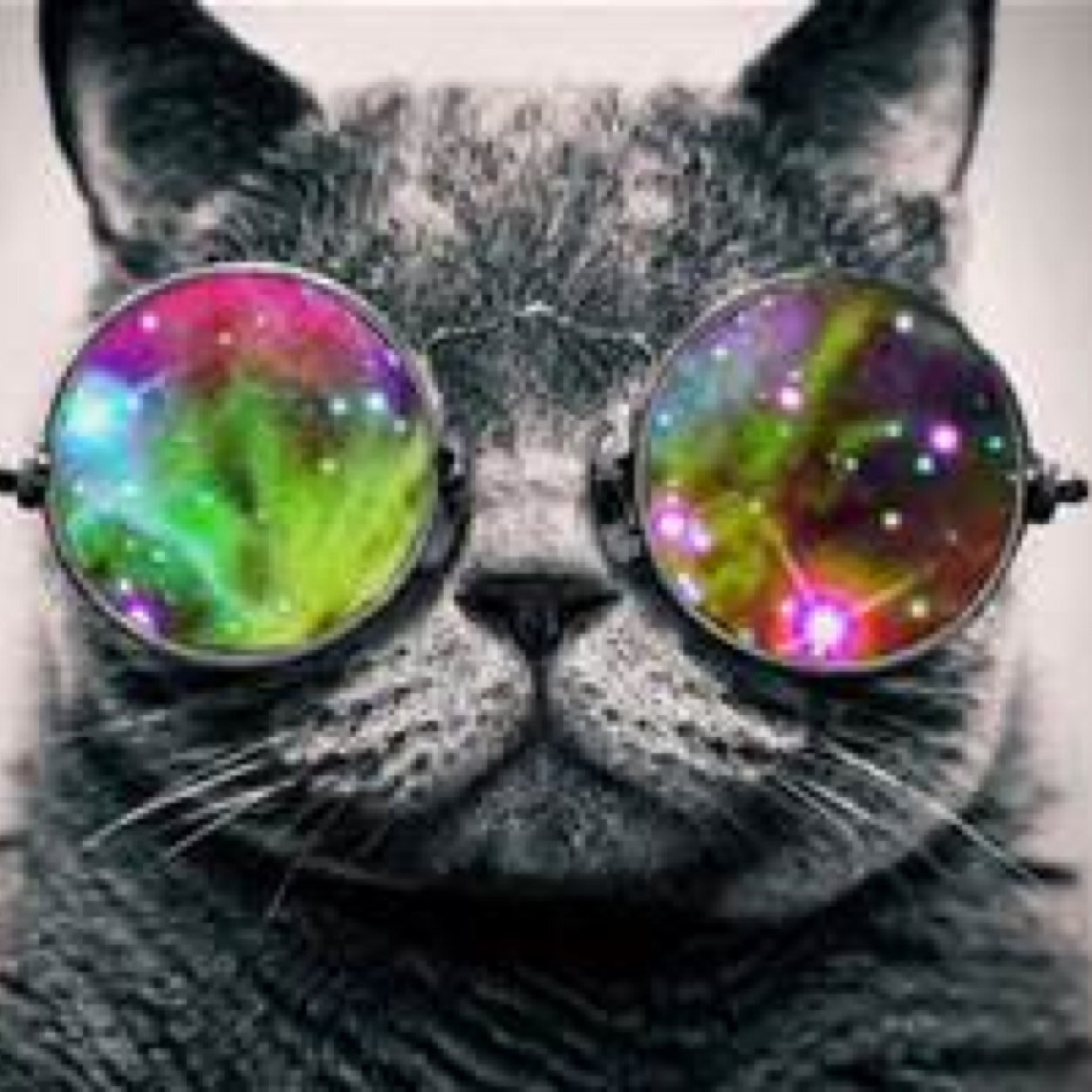 I live for that stoner life. Get that ganj, Get the girls. Plus to make a difference in the world.
