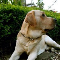 Brian Green (@crbriangreen) 's Twitter Profile