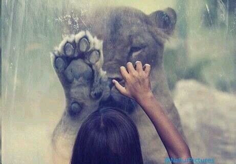 r3_roberto's profile picture. querer es poder