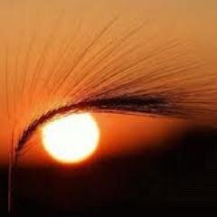 nina34026280's profile picture.
