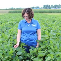 Carrie Knott (@kygrains) 's Twitter Profile