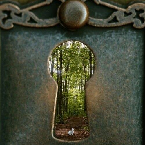 librarycat_'s profile picture. 