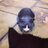 DecoyCat's profile image