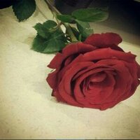 Aďḿαητ 7βK ♡  (@crazy_salem18) Twitter profile photo