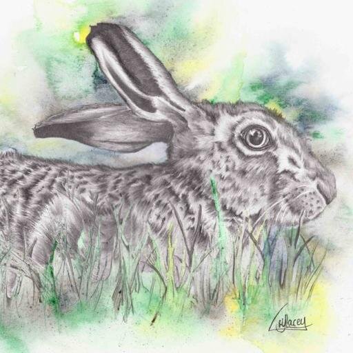 Harriet Lacey Artさんのプロフィール画像