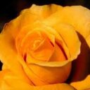 ريهام (@01254456) Twitter