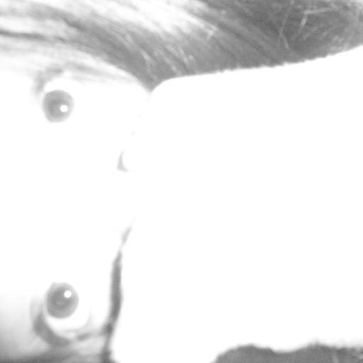 HipBoones's profile picture. Las cuchillas hacen parte de mi vida, los cortes como el aire para respirar, emocionalmente vacía. 
MFC, 1D, ED SHEERAN.