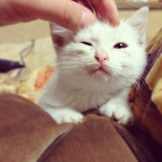奇行のふぁんたじすた
行動力わ桁外れ
トマト投げるために
スペインだって行っちゃうよ？