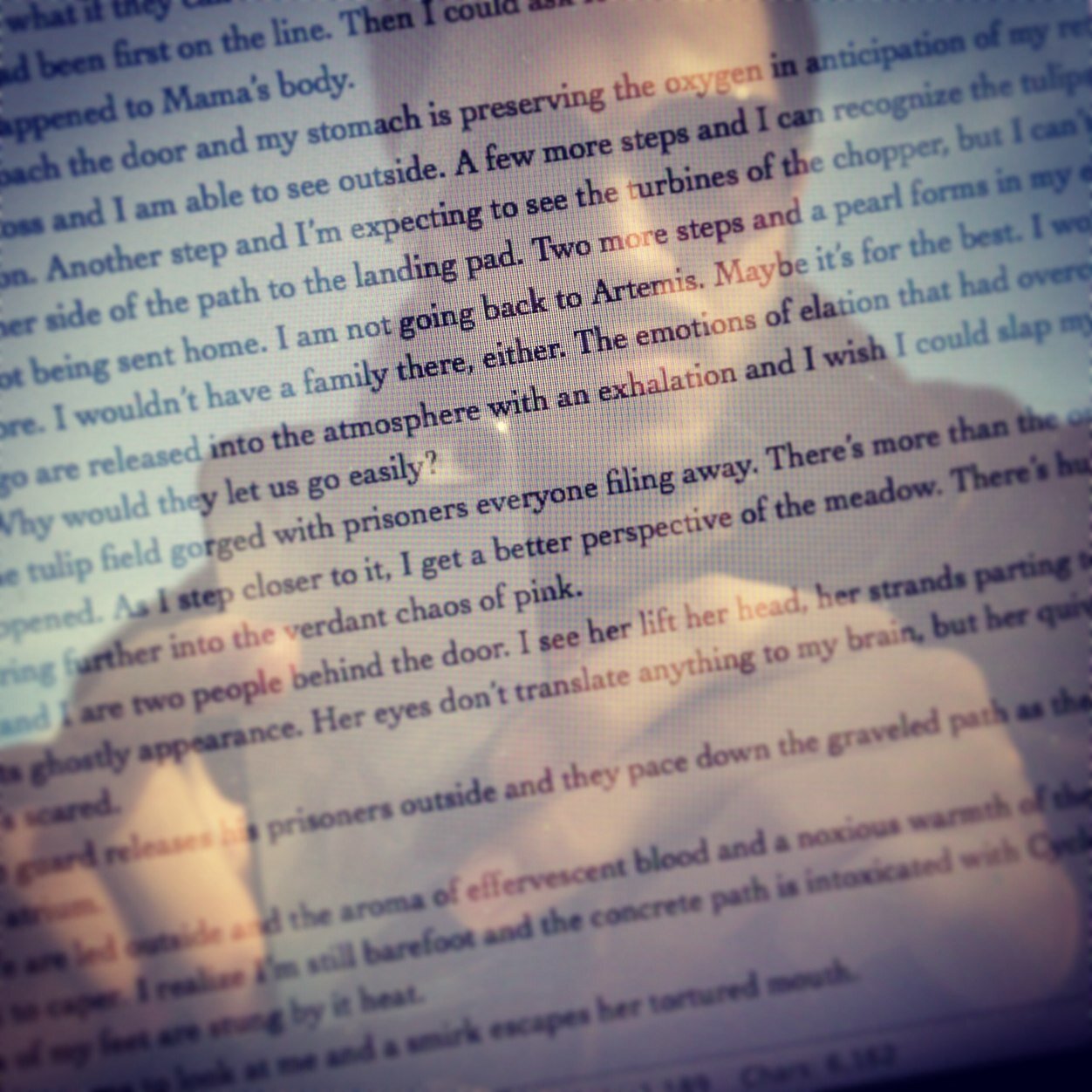 Fantasy, Sci-Fi & Queer Romance writer. Author of LGBT Queerky Tales and The Guy With The Suitcase
