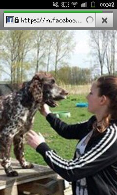 kimberley0211's profile picture. #0 4 1 6♥ W a s p i k!                                                                 Soms moet je veranderen om jezelf te kunnen blijven!