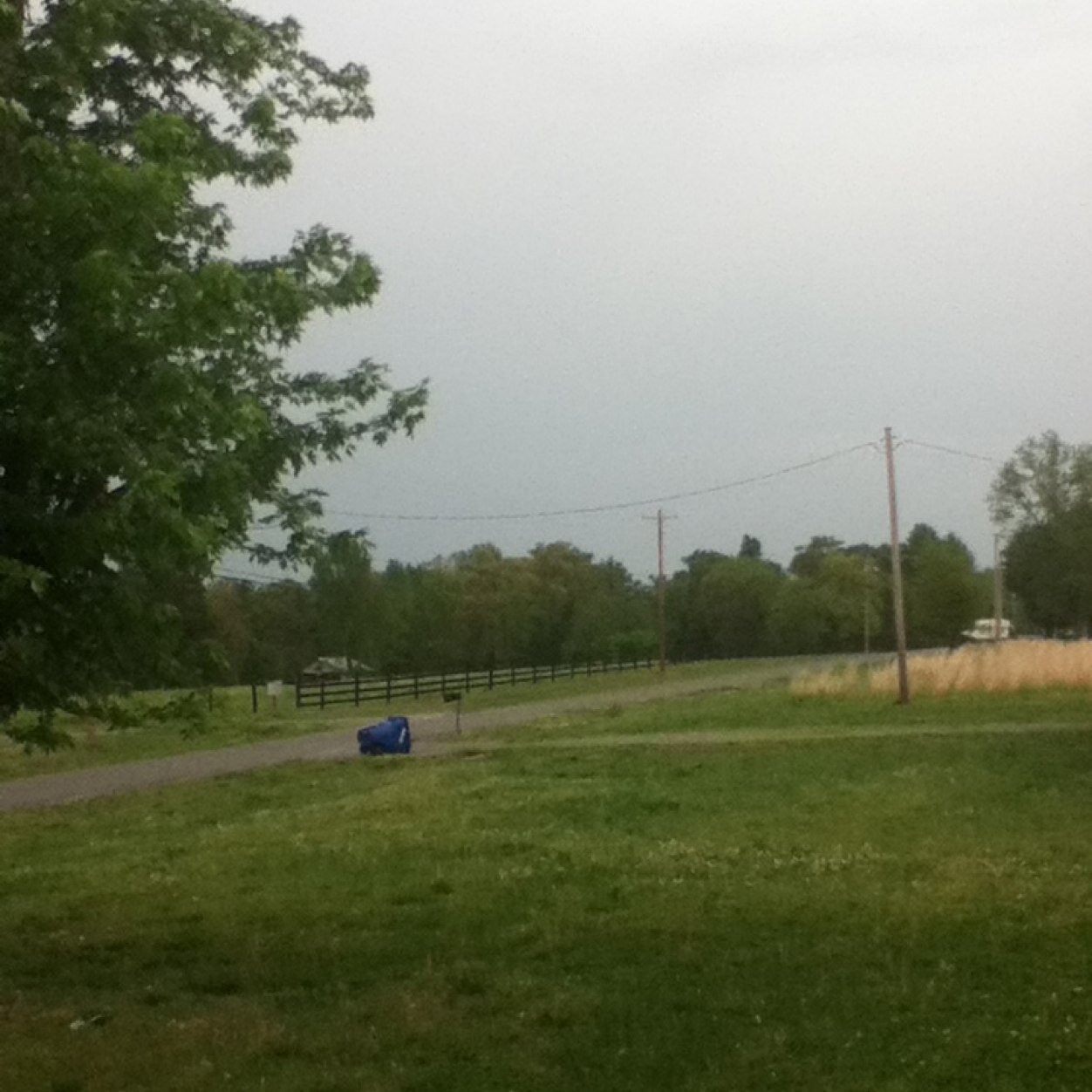 FinnTheHuman543's profile picture. Storm watcher