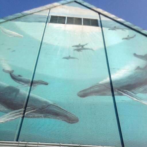 Laura_VarelaM's profile picture. Clean Food Entrepreneur | Avid reader, photography lover | Business, SM, PR | Health, Sustainability | Wine |