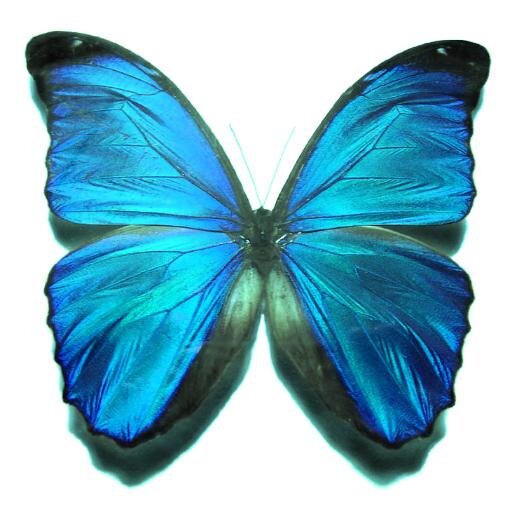 LymphMatters's profile picture. Lymphedema MATTERS! ❤ εiз ❤ Instagram: @LymphedemaMatters. ❤ εiз ❤ Pinterest: LymphMatters. ☆¸.•*¨*`•.ђคשε ค ηï¢ε đคу ¸.•*¨*`•.¸☆