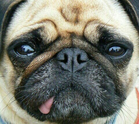 LsMmfernanda's profile picture. hola espero a los que me siguen les guste lo que twitteo