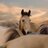 kaymoel's profile image