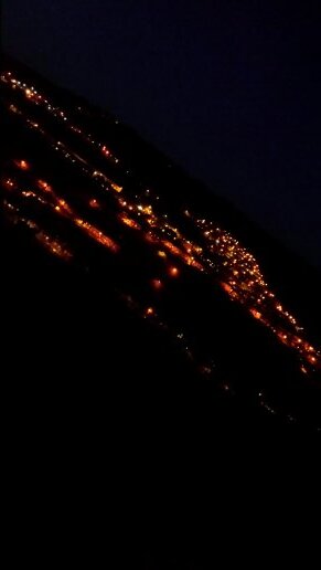 a1646423bbac489's profile picture. 