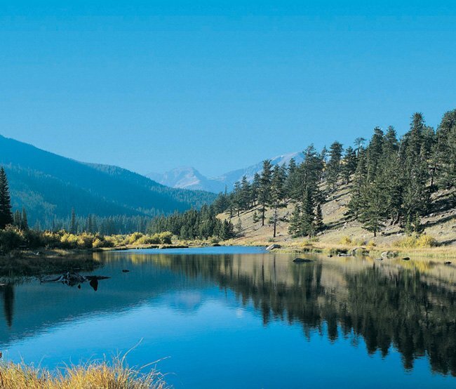 fazalcarnegie's profile picture. Assalamu alaikum...