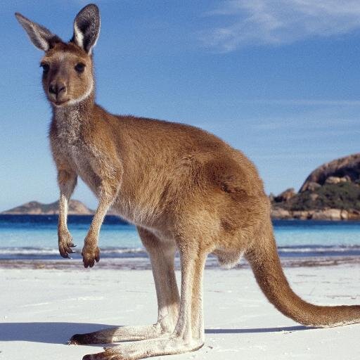 UMoHawaiiKai's profile picture. 