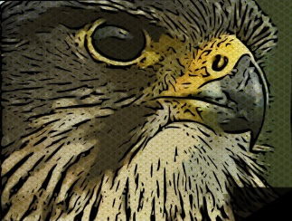 TTUpperHutt's profile picture. Upper Hutt Transition Town - see http://t.co/tEMdllTAql for more