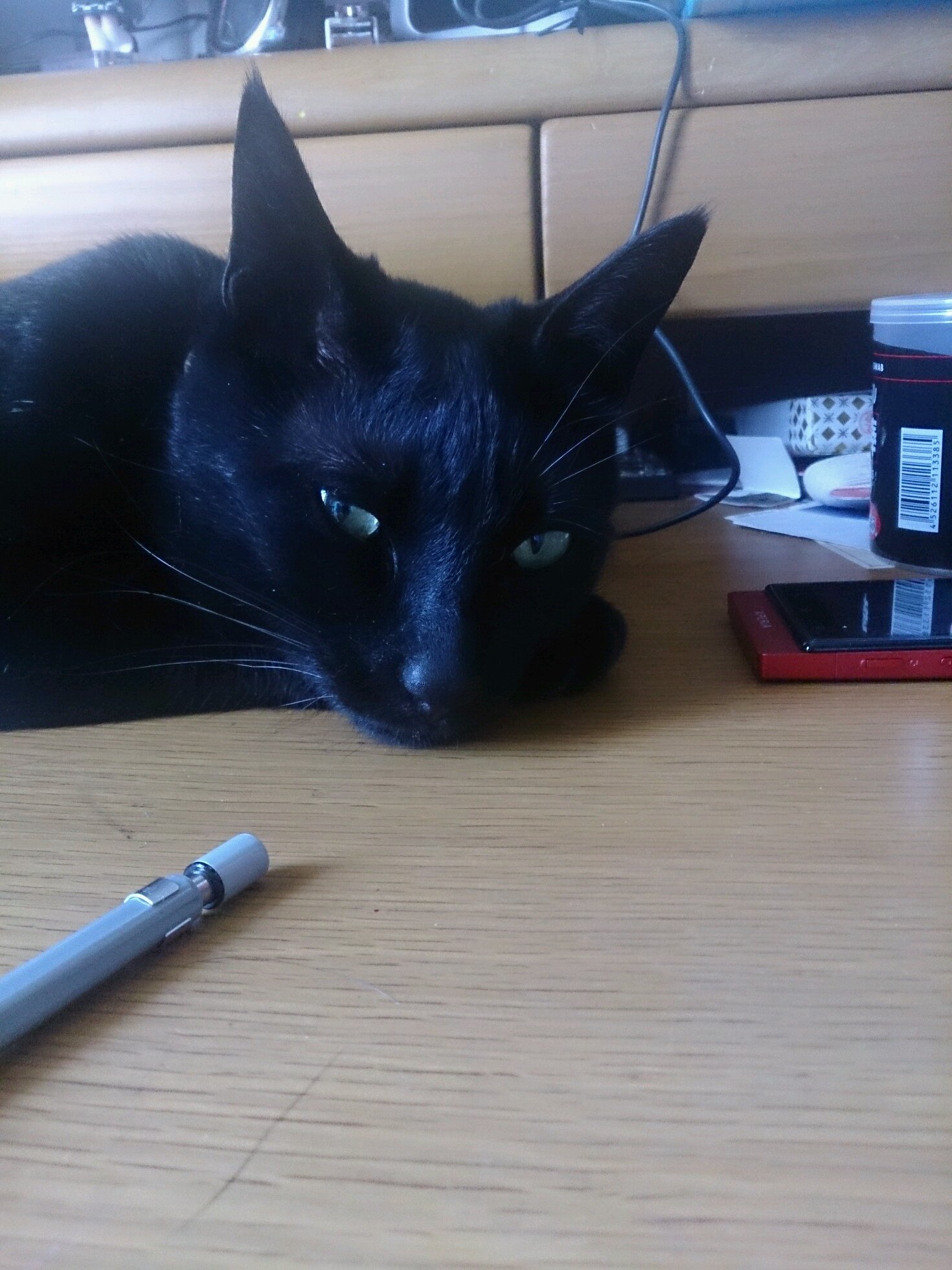 love_jacoco's profile picture. 立命館大学 情報理工学部 1回生
機械が友達