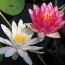 Jan Troutt - @jtroutt59 - Twitter