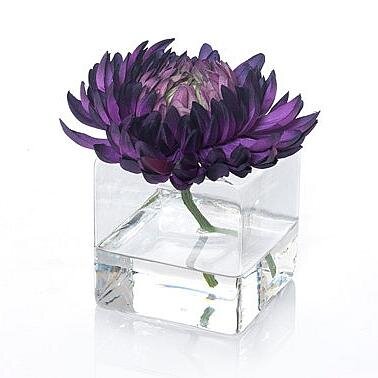 DaMiaGriFF_in's profile picture. passion#Music guru  #  zer .