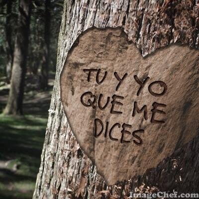 soyeliermar's profile picture. amo ami novio jose garcia