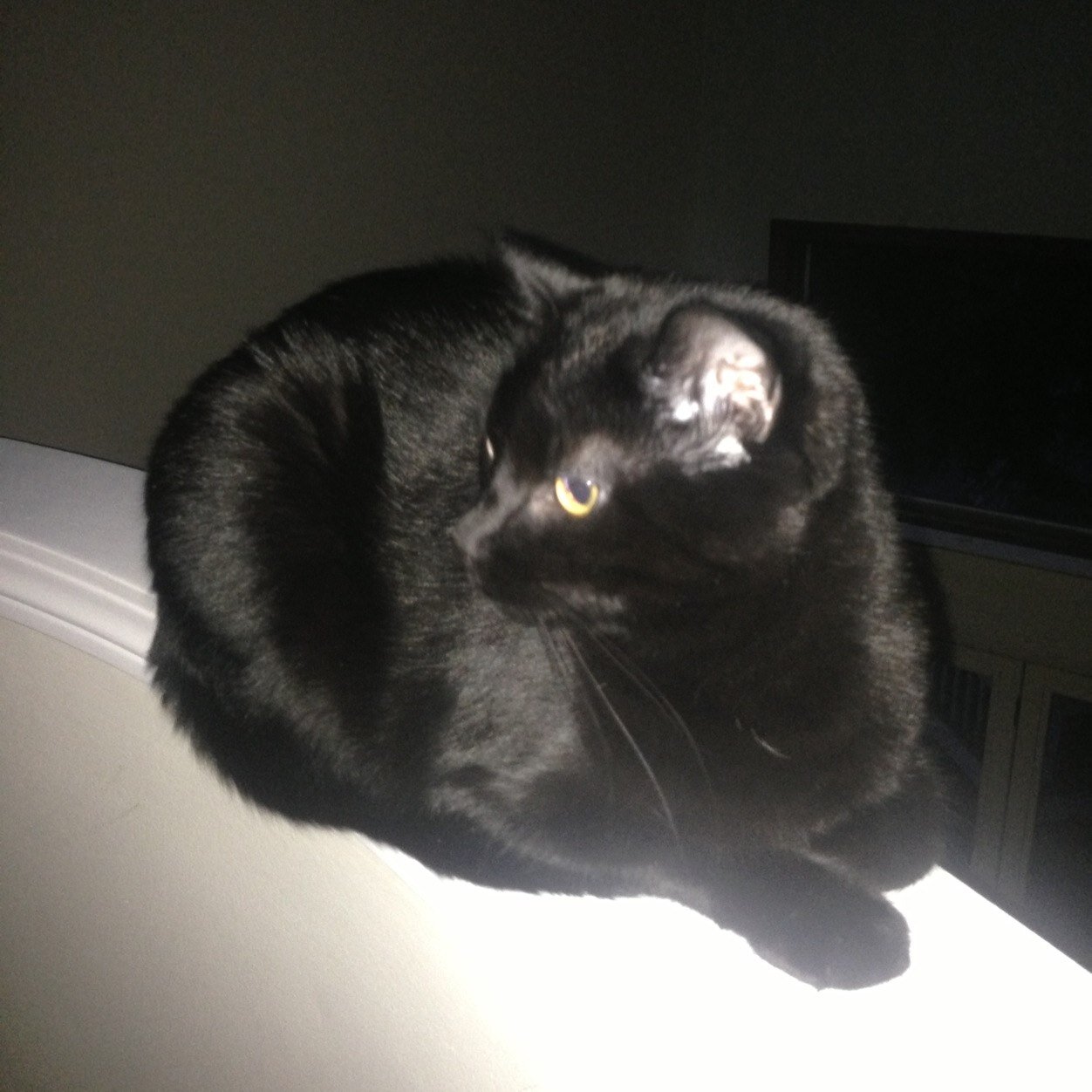 mnckent's profile picture. 