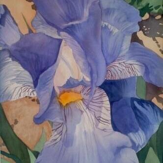 Hedi3Randall's profile picture. Freelance travel practitioner ...10 years .about#fanatic ;  Unapologetic web scholar #