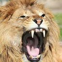 Jared Pearson - @J_humie - Twitter