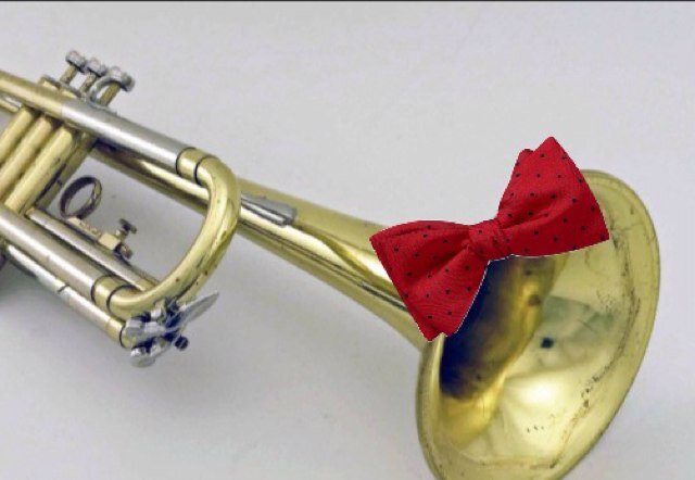 Female trumpet Section Leader in Marching Unit, Jazz Band, and Concert Band. The loud and obnoxious one.