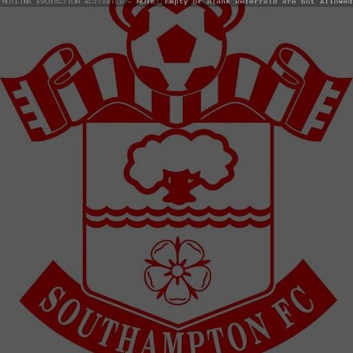 SaintsFCBrasil's profile picture. 