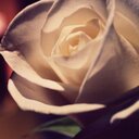 βηṬ- Đαŝħţίί♡ (@22Soola) Twitter