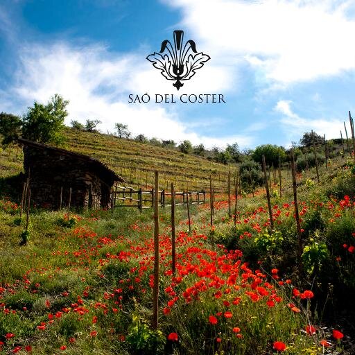 Bodega artesanal en Gratallops (DOQ Priorat).  Artisan wines in Priorat.
