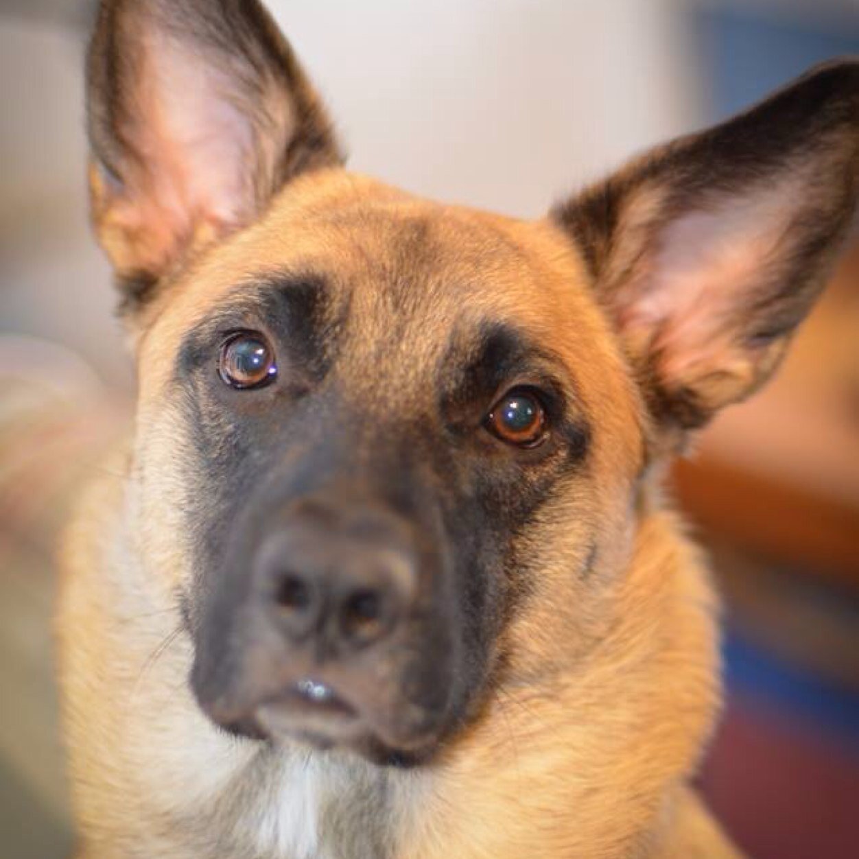 cyopik's profile picture. She/Her