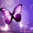 Ann Brooks - @AnnBroo53835589 - Twitter