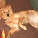 cindy swift - @cswiftrun - Twitter