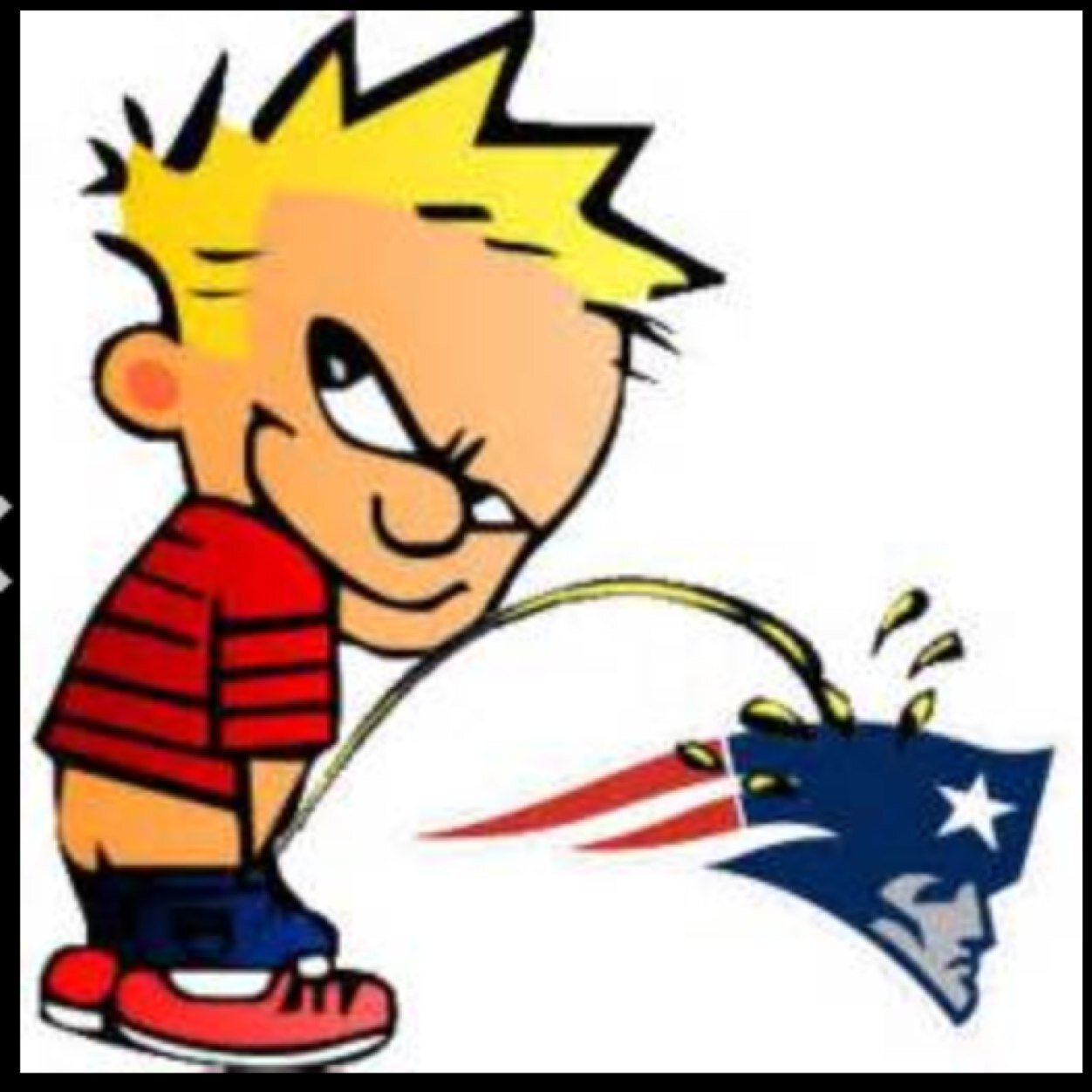patriots suck pictures Patriots suck pictures