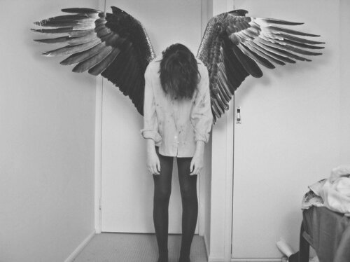 bladesdarling's profile picture. the knives that cut the deepest are the sharpest in the drawer, same goes for the voices in our heads