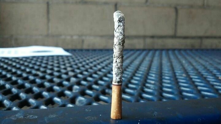 fin_reducer's profile picture. 