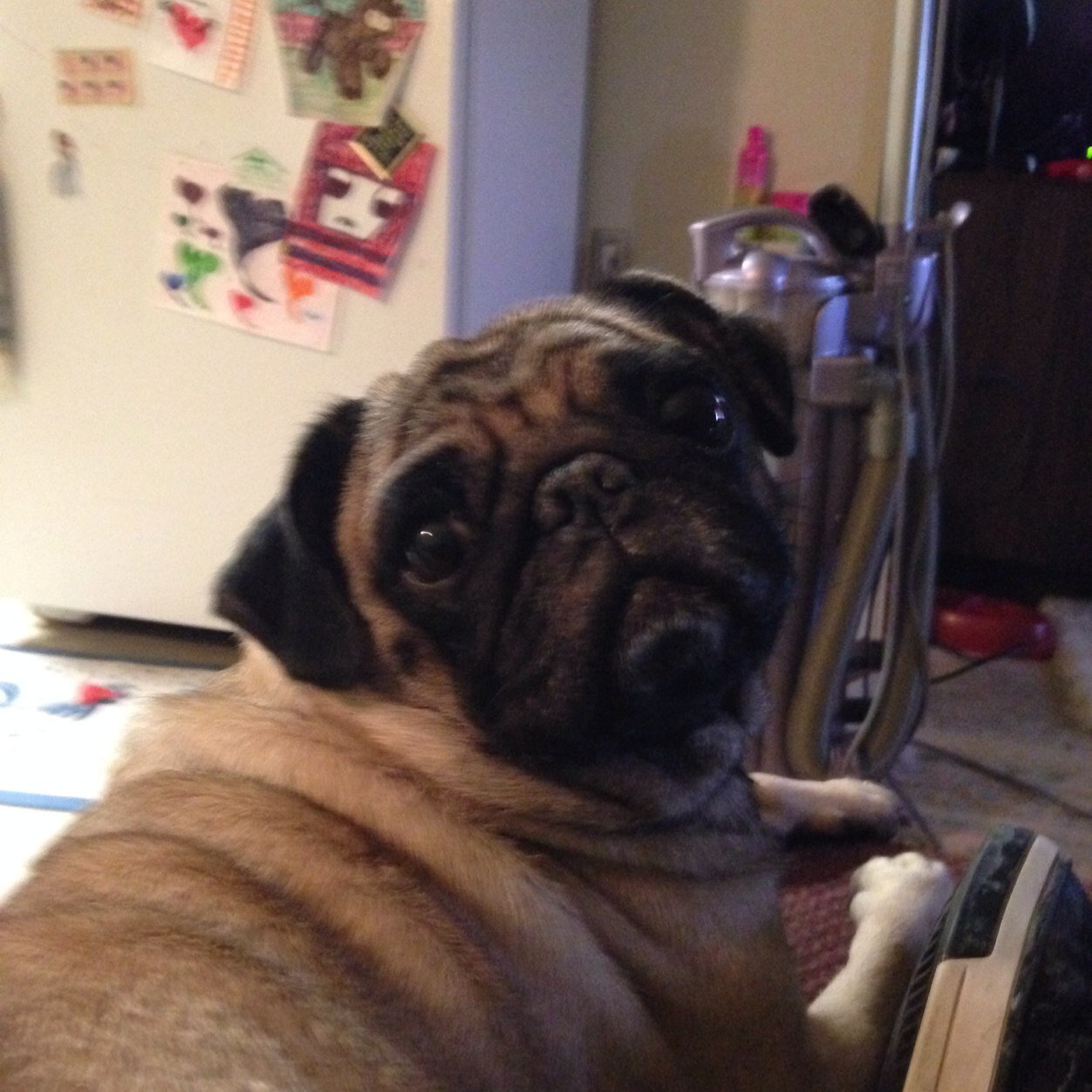 JPearlisha's profile picture. I got to wellstone and I have a boyfriend first 1