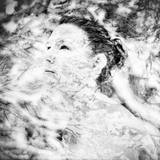 naturalightimag's profile picture. Observe, Photograph, Create.....