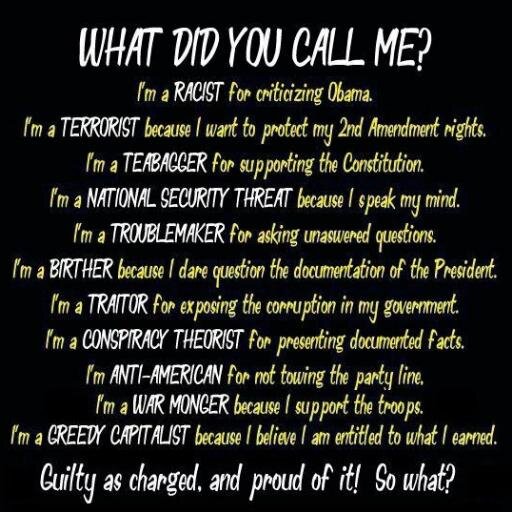 Mother, grandmother, sister,aunt libertarian/PROUD TRUMP SUPPORTER. Alex Jones follower.True Liberal  NOT A FEMINIST Frees speech advocate Patriot NRA supporter