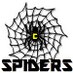 CHS Spiders Soccer (@chsspidersoccer) Twitter profile photo
