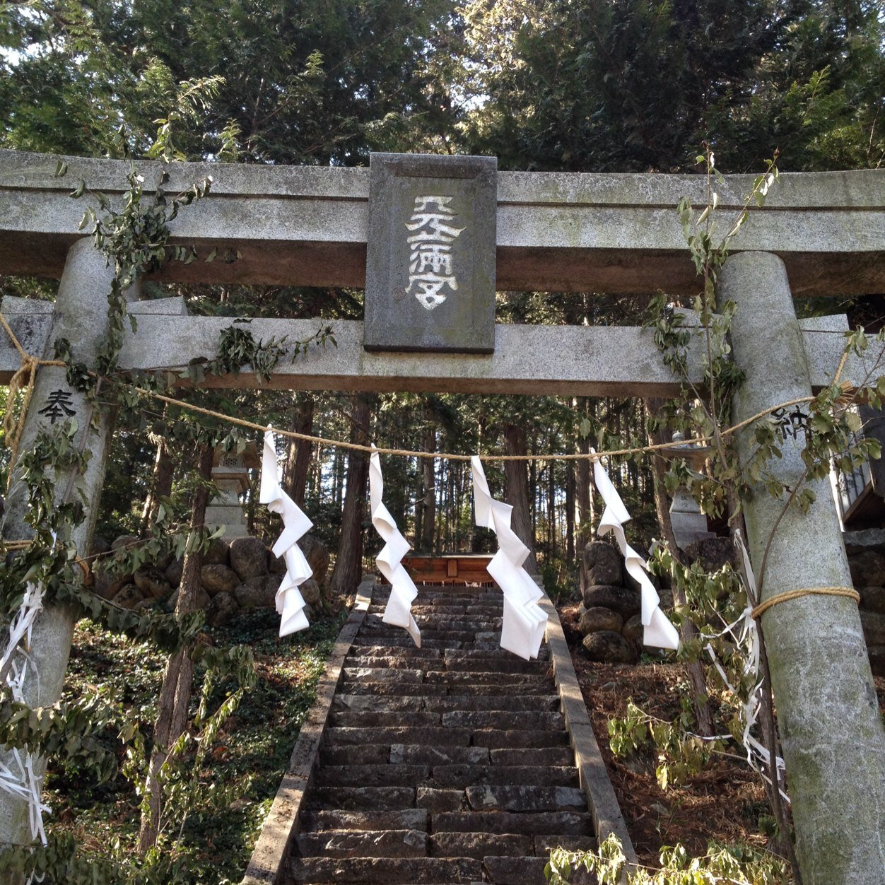 田舎の山あいにひっそりと佇む、合格率90%超えの、知る人ぞ知る合格神社…