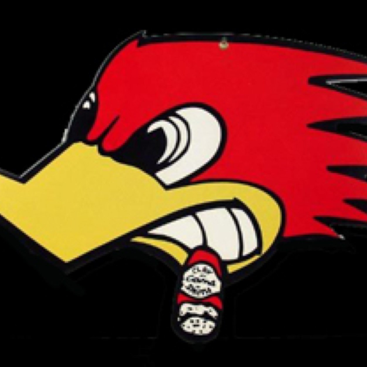 5150snoman's profile picture. 