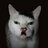 MB_Gaviota's profile image