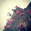 rayan_094 (@094Rayan) Twitter